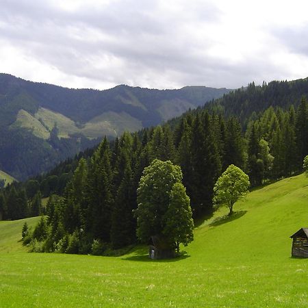 Kirchenbichlerhof Villa Pruggern Luaran gambar