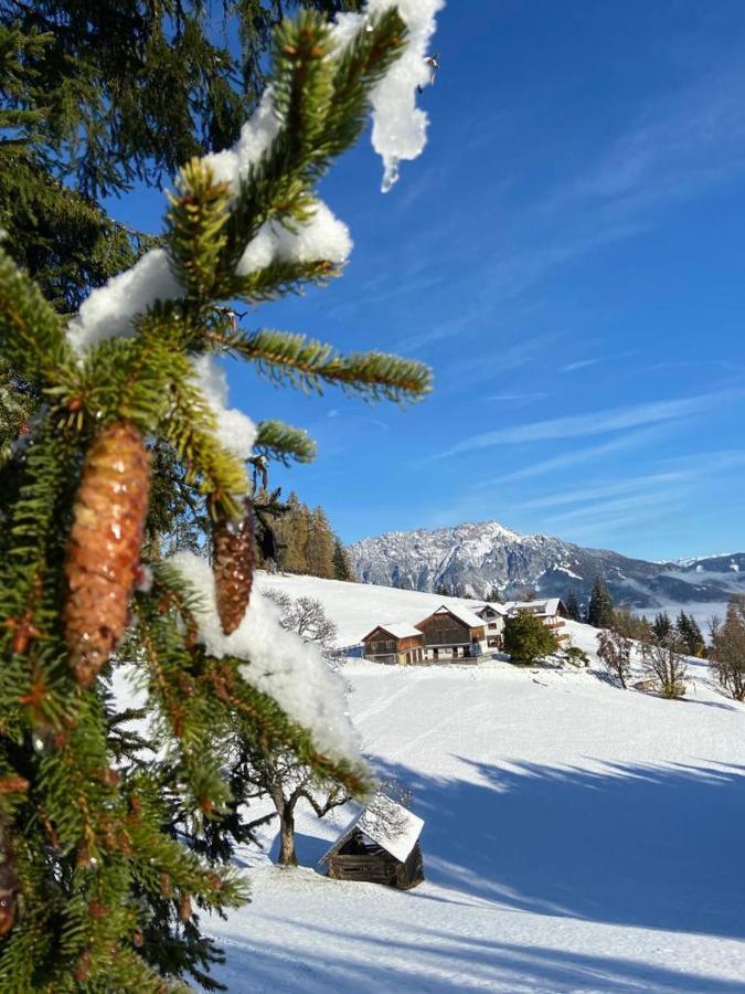 Kirchenbichlerhof Villa Pruggern Luaran gambar