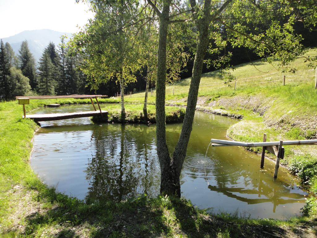Kirchenbichlerhof Villa Pruggern Luaran gambar