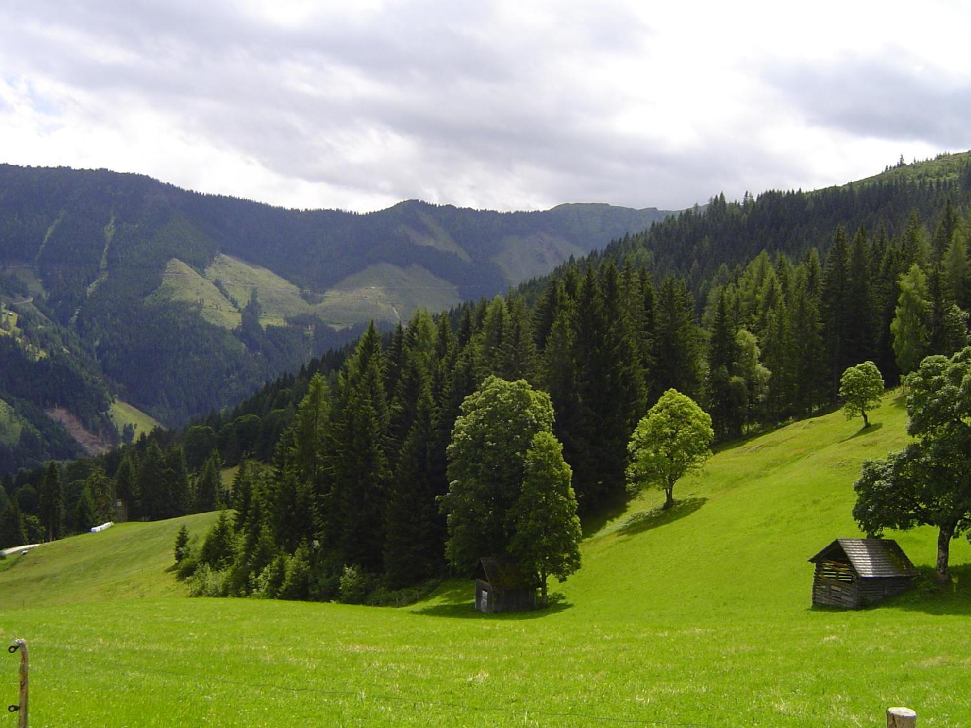 Kirchenbichlerhof Villa Pruggern Luaran gambar