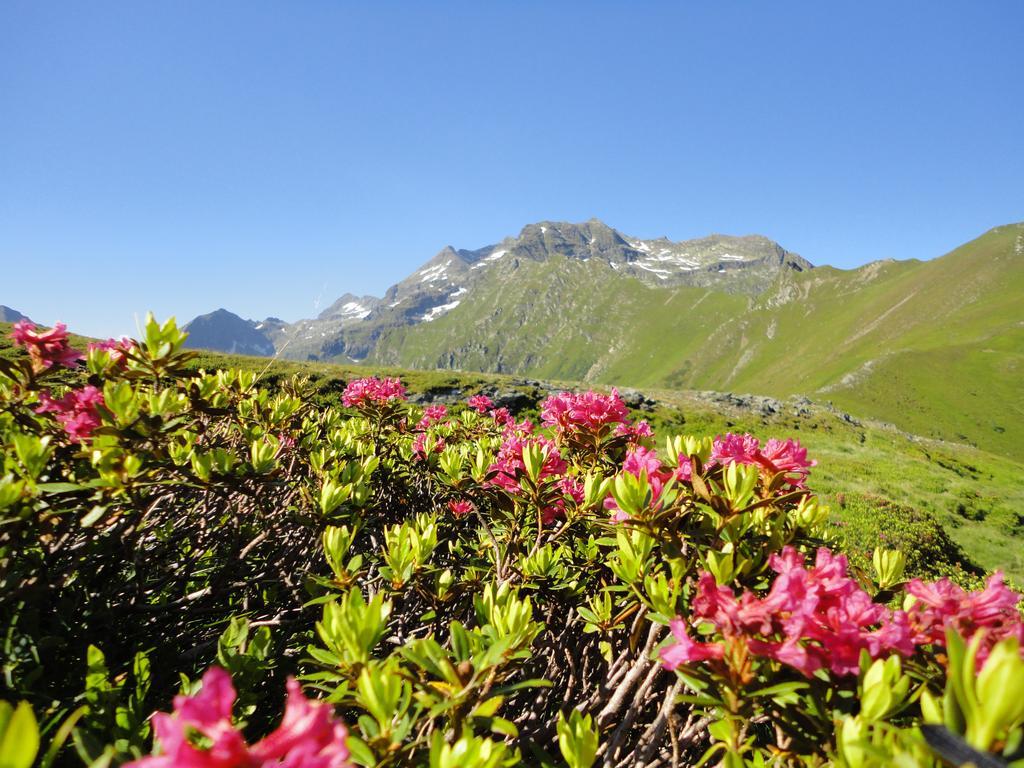 Kirchenbichlerhof Villa Pruggern Luaran gambar